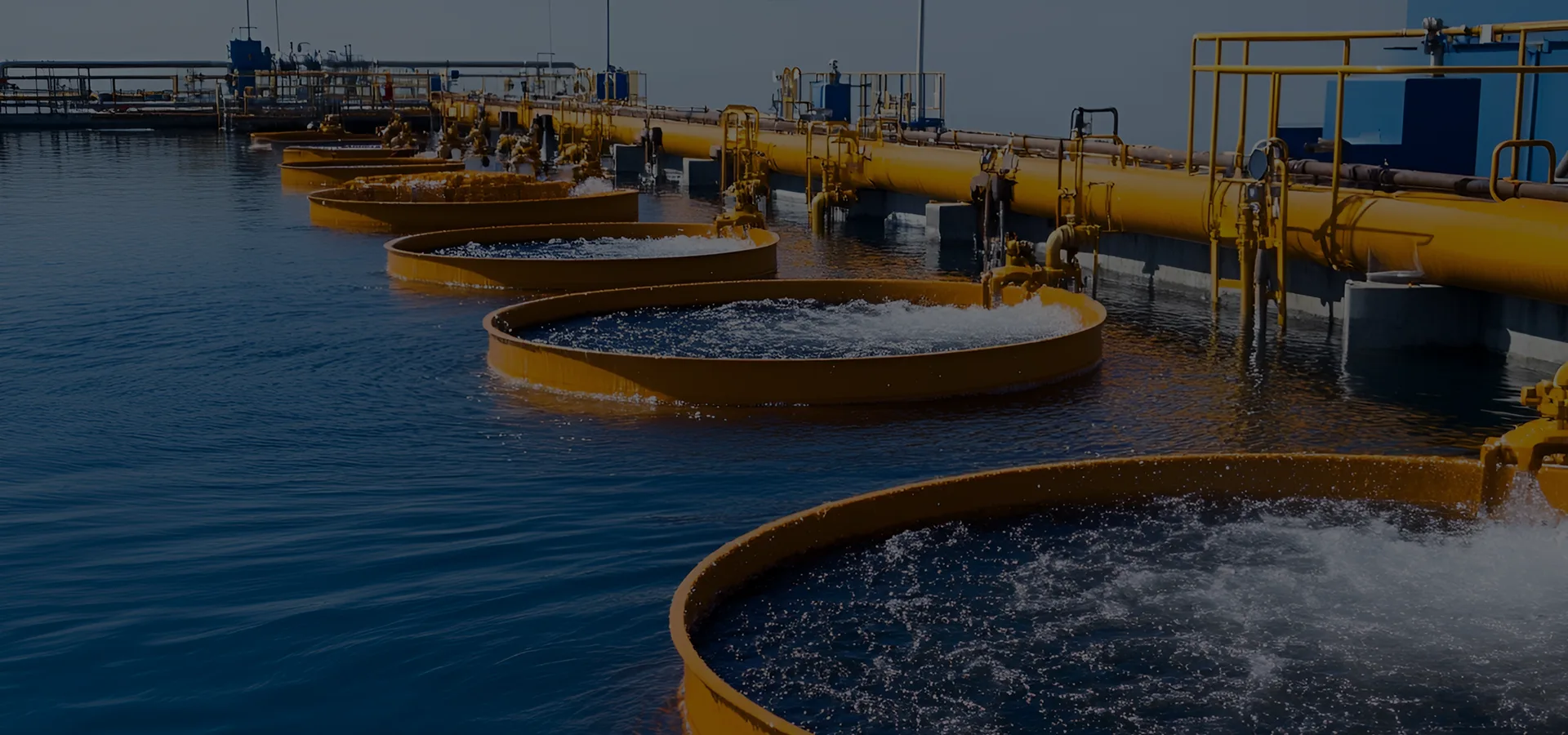 В нашей компании создана полная система контроля и обеспечения качества.